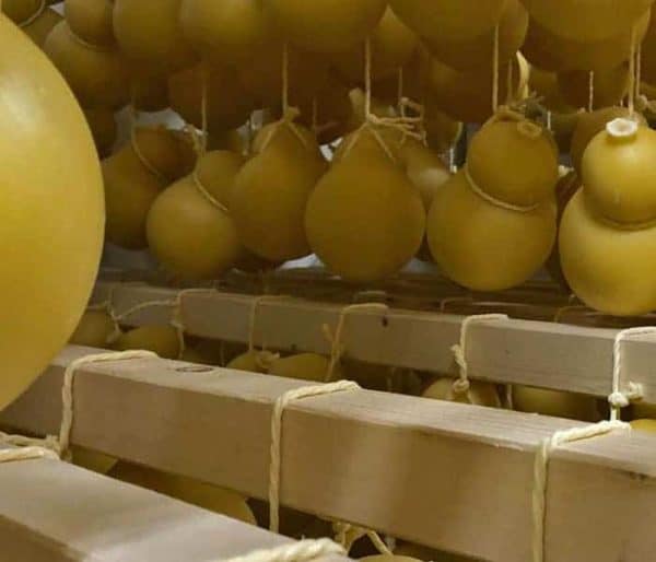 Caciocavallo Silano DOP - Bild 3